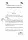 Vista preliminar de documento  RESOLUCION GERENCIAL REGIONAL DE DESARROLLO SOCIAL   93