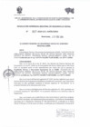 Vista preliminar de documento  RESOLUCION GERENCIAL REGIONAL DE DESARROLLO SOCIAL   87