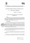 Vista preliminar de documento  RESOLUCION GERENCIAL REGIONAL DE DESARROLLO SOCIAL   86