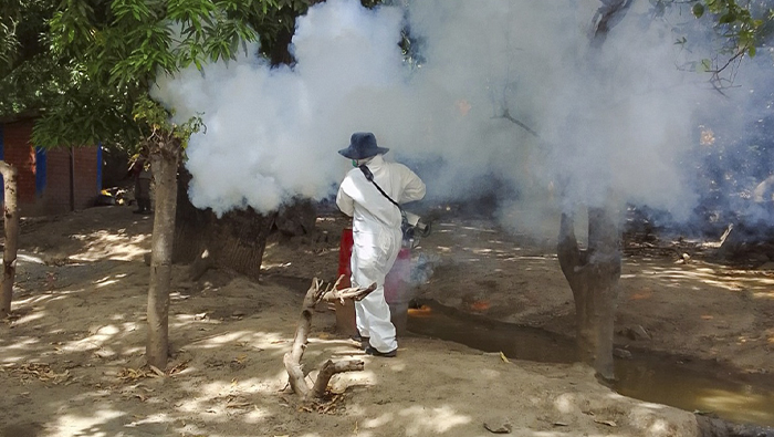 Imagenes de los miembros fumigando