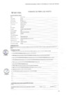 Vista preliminar de documento PERFIL