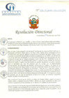 Vista preliminar de documento RD N° 216-12-2020-HCLLH-SA