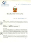 Vista preliminar de documento RD N° 217-12-2020-HCLLH-SA