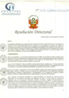 Vista preliminar de documento RD N° 219-12-2020-HCLLH-SA