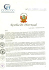 Vista preliminar de documento RD N° 222-12-2020-HCLLH-SA
