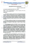 Vista preliminar de documento Resolución 243