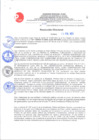 Vista preliminar de documento RD 249-2024- TORRES FLORES JUAN ANTONIO-RECONOCER BONIFICACION OTORGADA POR LEY 25303