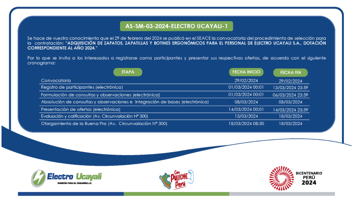 Adjudicación Simplificada N.º AS-SM-3-2024-ELECTRO UCAYALI-1