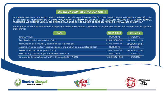 Adjudicación Simplificada N.º AS-SM-9-2024-ELECTRO UCAYALI-1