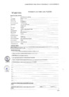 Vista preliminar de documento PERFIL 