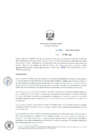 Vista preliminar de documento RD_0031_2020_MINEM_DGAAE