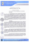 Vista preliminar de documento Ordenanza Municipal-516