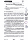 Vista preliminar de documento rd73-2024