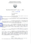 Vista preliminar de documento RD 217-2024 GONZALES MERINO KATTIA JULISSA