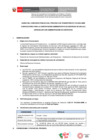 Vista preliminar de documento BASES CAS N° 019-2024-ANIN