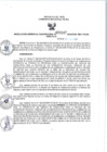 Vista preliminar de documento RGSR_2024_247
