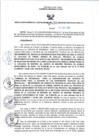 Vista preliminar de documento RGSR_2024_250