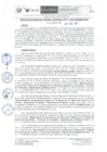 Vista preliminar de documento RER-006-2024-GOREMAD-GGR