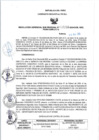 Vista preliminar de documento RGSR_2024_264