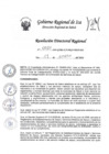Vista preliminar de documento RDR-0021-2024