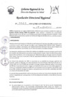 Vista preliminar de documento RDR-0029-2024