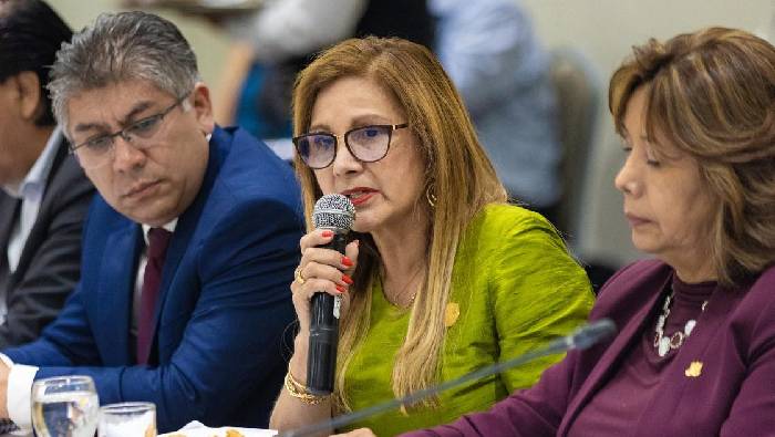 Alcaldesa, Nancy Vizurraga, participó en reunión de trabajo sobre el cumplimiento del Pacto Nacional 