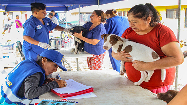 campaña vet