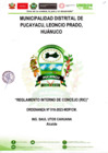 Vista preliminar de documento RIC
