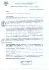 Vista preliminar de documento ResoGerenciaMunicipal N° 113-2024