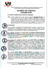 Vista preliminar de documento AC N° 010-2024-AL/CPB
