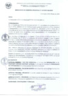 Vista preliminar de documento ResoGerenciaMunicipal N° 115-2024
