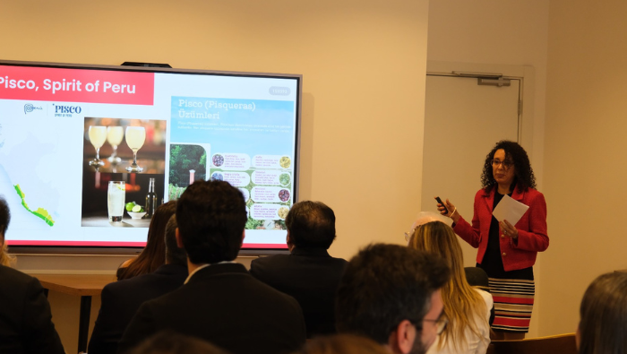 Embajada del Perú en Türkiye presenta en evento empresarial oportunidades de inversión en nuestro país