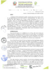 Vista preliminar de documento RESOLUCIÓN DE GERENCIA N° 0030
