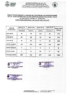 Vista preliminar de documento Resultados Finales SUB CAFAE 2024-2026