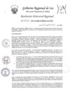 Vista preliminar de documento RDR-0060-2024