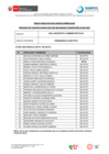 Vista preliminar de documento COMUNICADO - CAS 002-2024