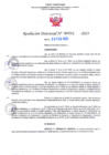 Vista preliminar de documento RD Nº000601 28-02-202306092023103950