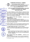 Vista preliminar de documento Acta Sesión Extraordinaria N04-2024