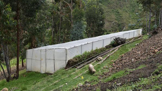 Viene brindando asistencia técnica a la Asociación de Productores