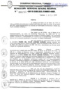 Vista preliminar de documento R.G.G.R. N061-2019GRT-GR_08FEB2019