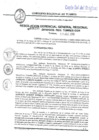 Vista preliminar de documento R.G.G.R. N193-2019GRT-GGR_11ABR2019