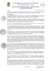 Vista preliminar de documento RAF N° 029-2024