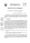 Vista preliminar de documento RDR-0090-2024