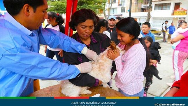✅Con la finalidad de proteger a los canes contra la rabia, la gerencia de Desarrollo Ambiental y la subgerencia de Gestión Ambiental realizaron una exitosa campaña de vacunación canina antirrábica, en el sector 6 Chontapaccha.
👉Agradecemos a la asociación “Huellas de Ángel”  por apoyar esta iniciativa que busca mejorar las condiciones de vida de nuestras mascotas. 
✅Estas campañas de vacunación canina antirrábicas se estarán realizando en los 24 sectores de nuestra ciudad, teniendo un resultado obtenido en esta campaña de 95 canes y 5 gatos vacunados, pronto estaremos por tu sector para hacer cumplir la ordenanza municipal N° 705 para una adecuada tenencia de canes en la ciudad.