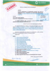 Vista preliminar de documento CARGO_PLAN_INTEGRAL_ANDALUCIA