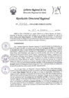 Vista preliminar de documento RDR-0095-2024