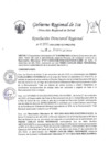 Vista preliminar de documento RDR-0100-2024