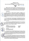 Vista preliminar de documento RGSR_2024_273