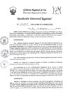 Vista preliminar de documento RDR-0105-2024