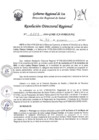 Vista preliminar de documento RDR-0109-2024
